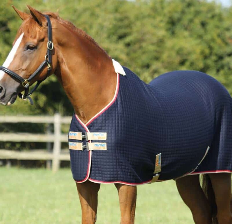 Chipstead Riding Club Horse Cooler