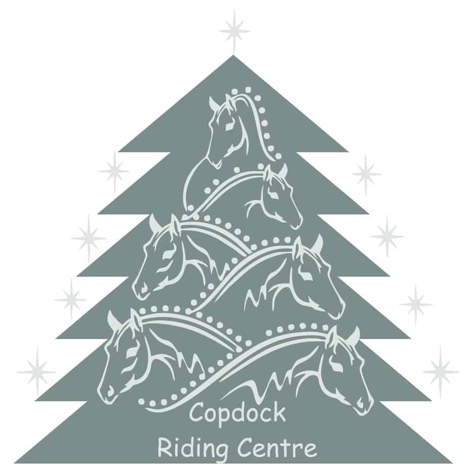 Copdock Riding Centre Adult Christmas Hoodie