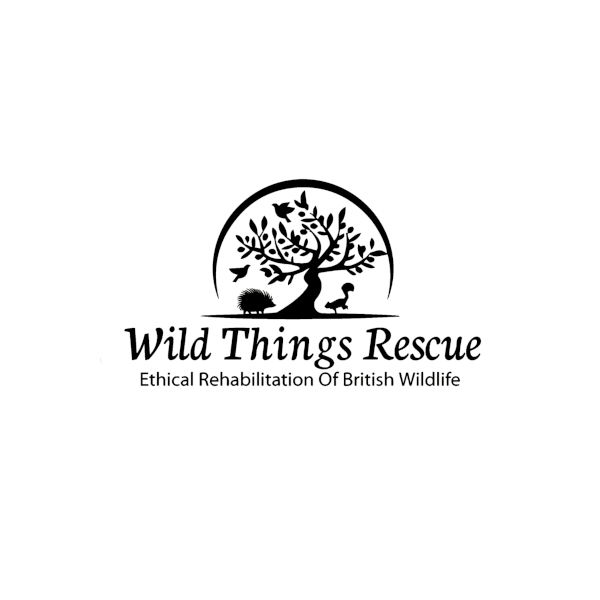 Wild Things Rescue