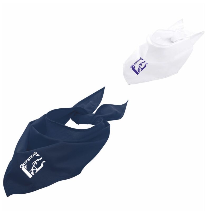 Chipstead Dog Bandana