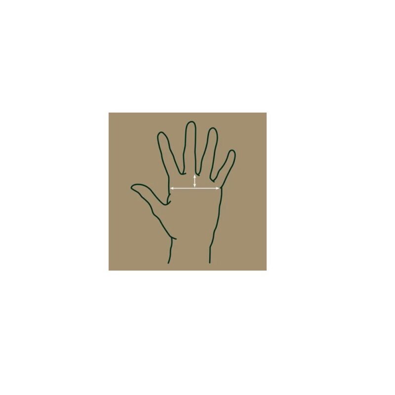 Plumpton Riding Gloves - Dublin by Weatherbeeta - Image 2