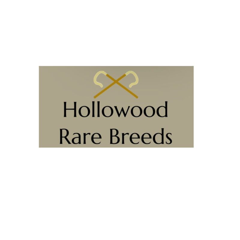 Hollowood Rare Breeds