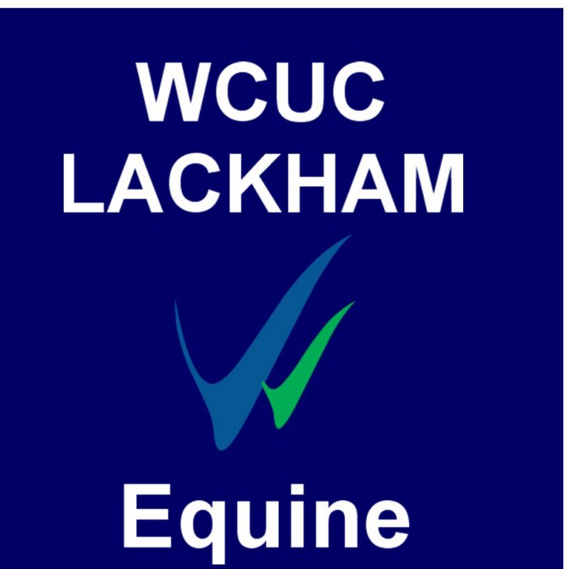 Wiltshire College & University Centre - Equine