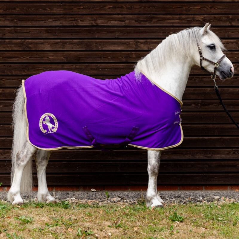 HOYS 2026 Replica Horse Rug