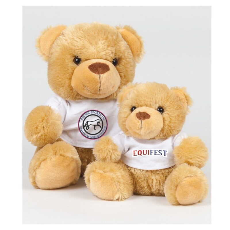 Plush Bear in a T Shirt