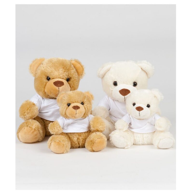 Plush Bear in a T Shirt