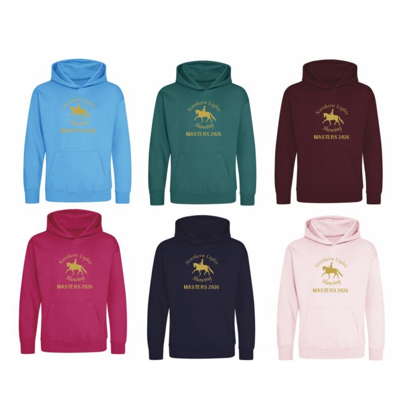 Northern Lights Hoodie