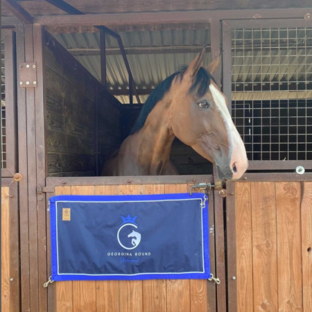 Stable Guard