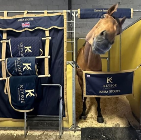 Stable Head Protector