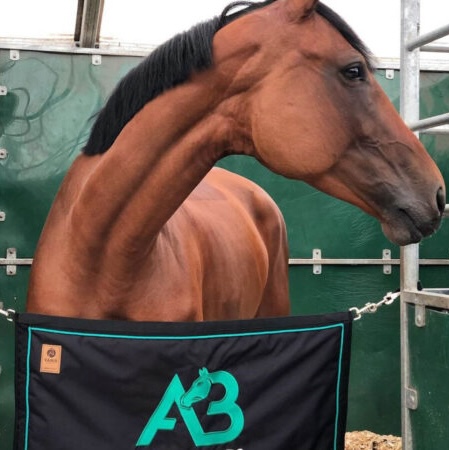Stable Guard - Image 2