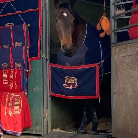 Stable Guard - Image 4